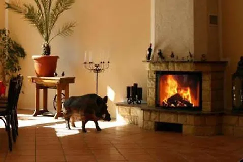 ホテル & Restaurant Wilder Eber