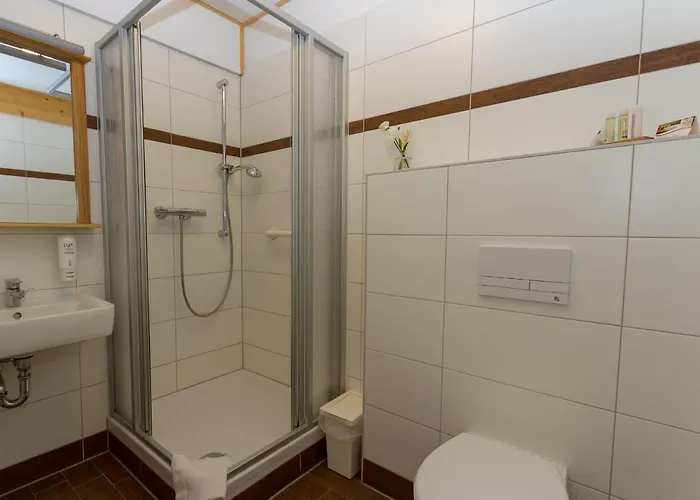 & Restaurant Wilder Eber ホテル 3*